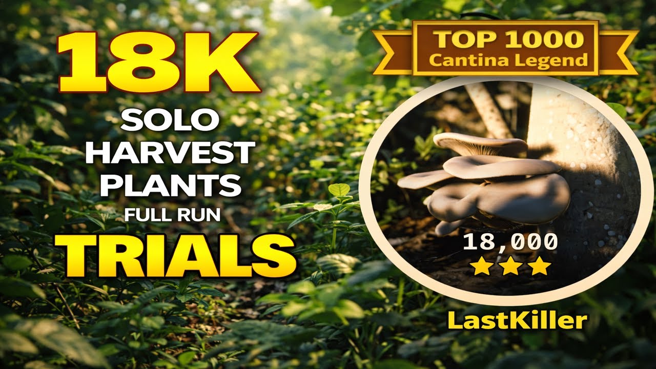 Solo Harvest Plants (Buried City) – TOP 1000 Cantina Legend (EASY 18K) | ARC Raiders Full Run