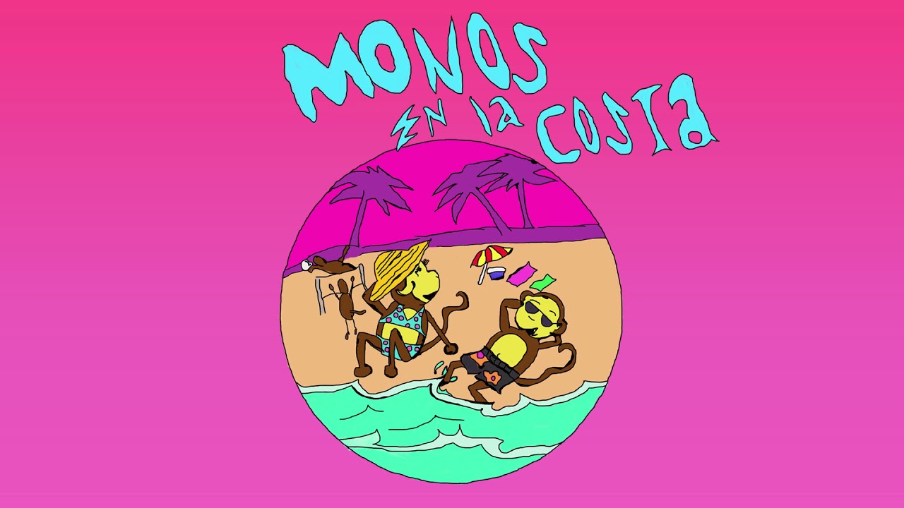 mitimitis - monos en la costa