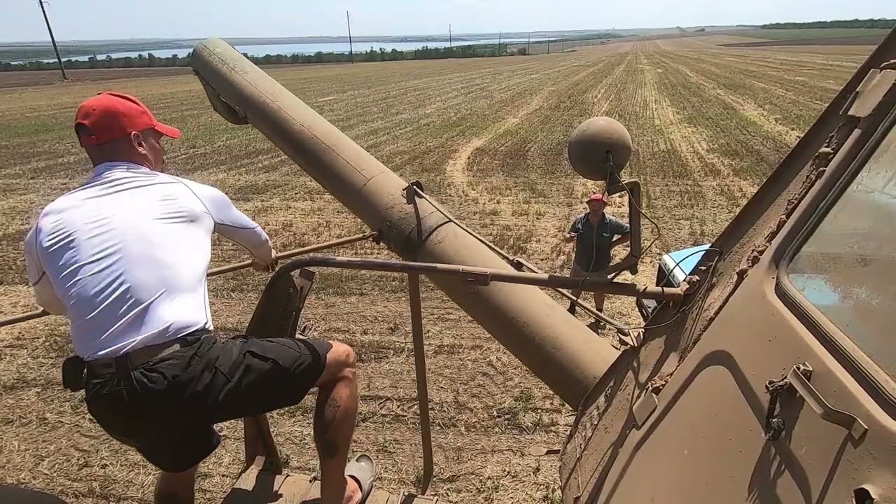 З 5-ти гектарів 🌾 намолотили ...