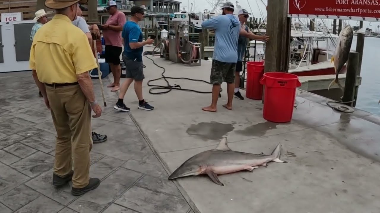 Barge Incident Prequel: A Visit to Port Aransas. Special Episode 2