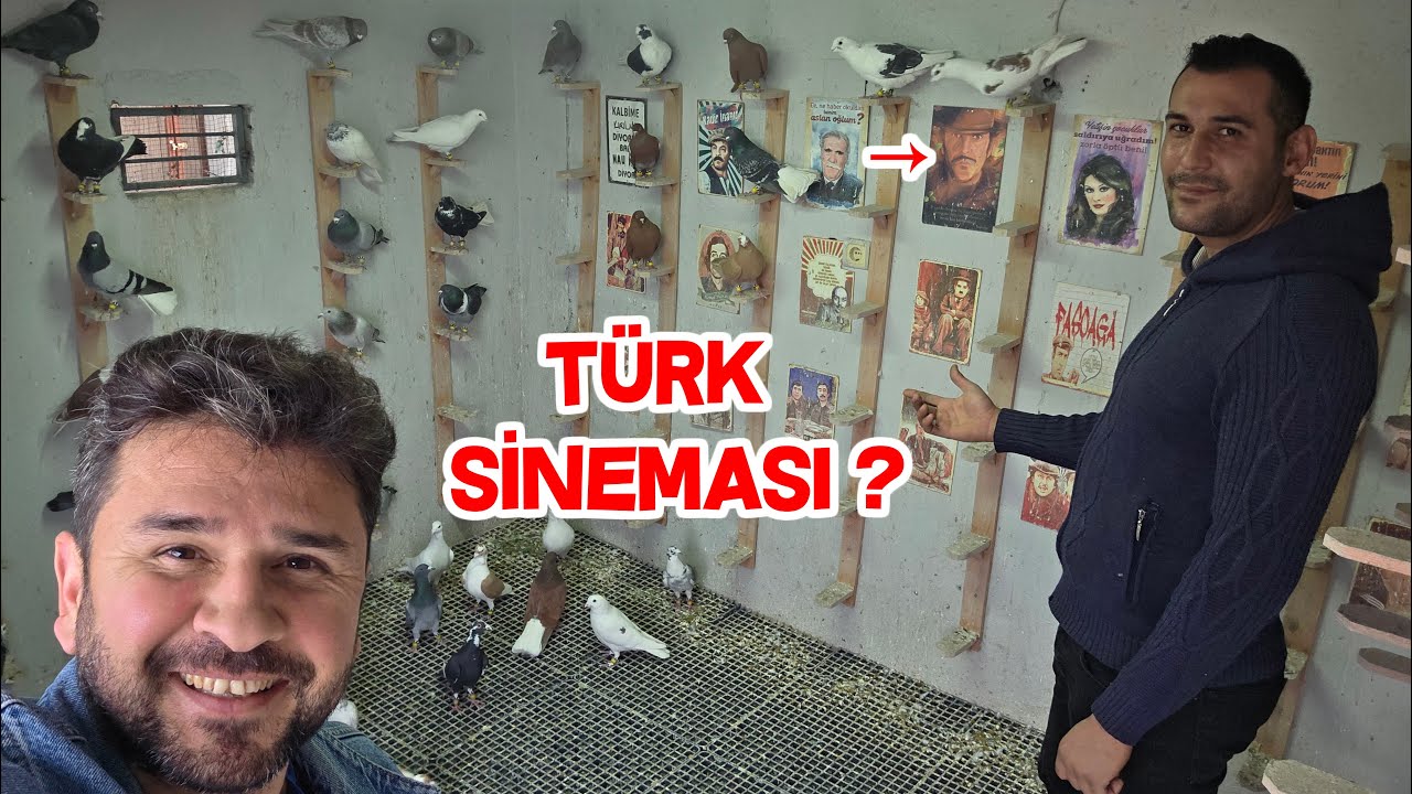 Böyle Güvercin Kümesi Daha Önce Görmedim