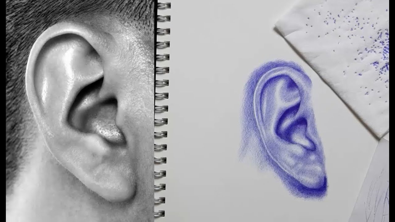 Ballpoint Pen Drawing for Beginners