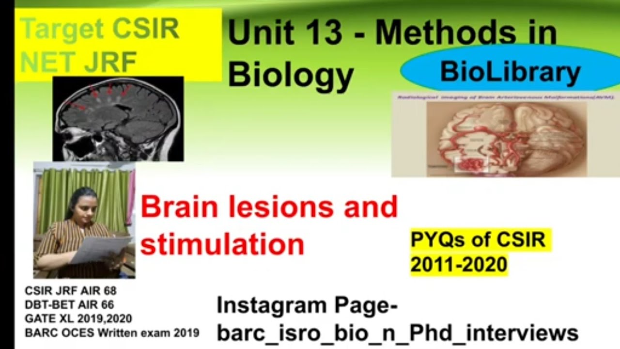 Brain Lesion and stimulation|CSIR molecular technique|ICMR