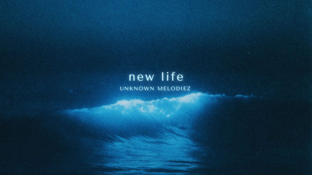 Unknown Melodiez  - new life