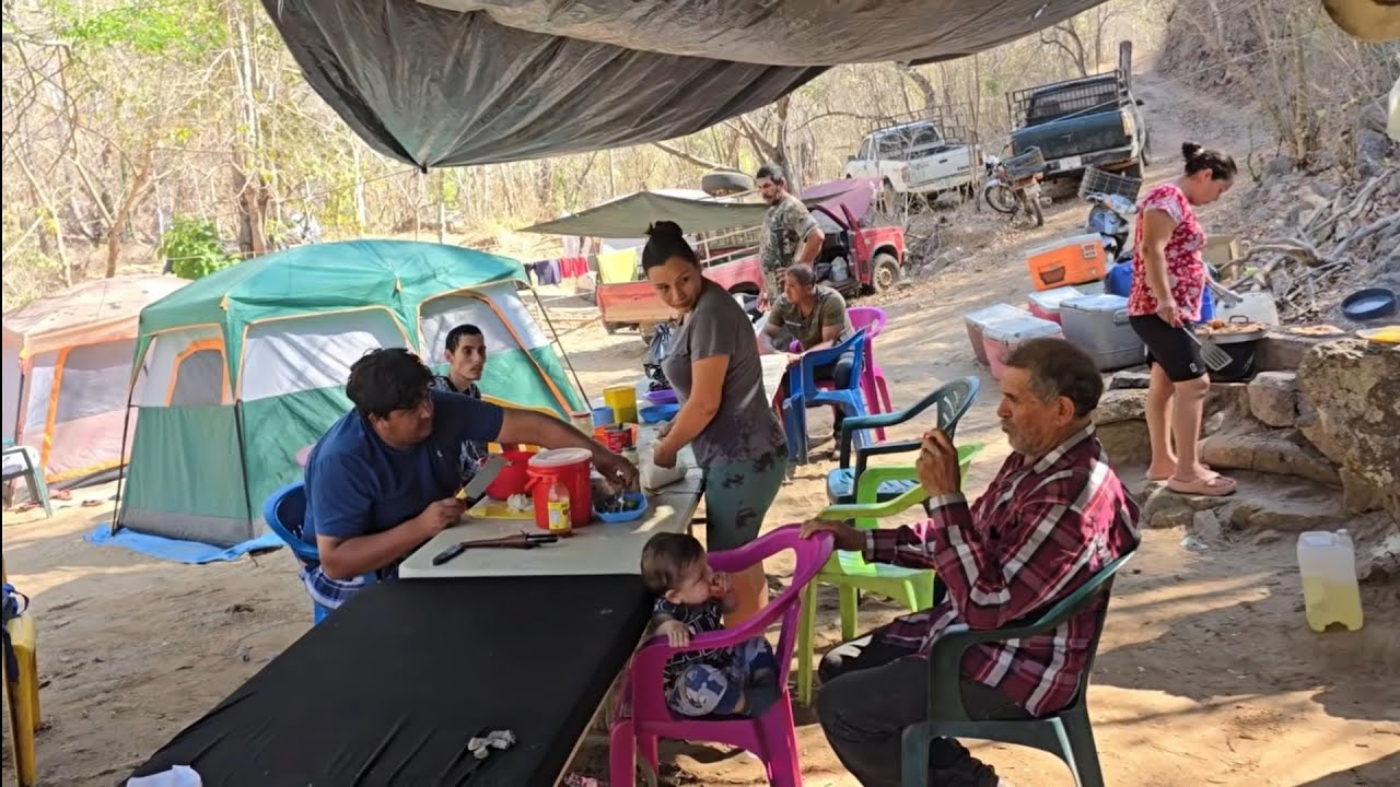 NUEVAMENTE  EN EL CAMPAMENTO. 