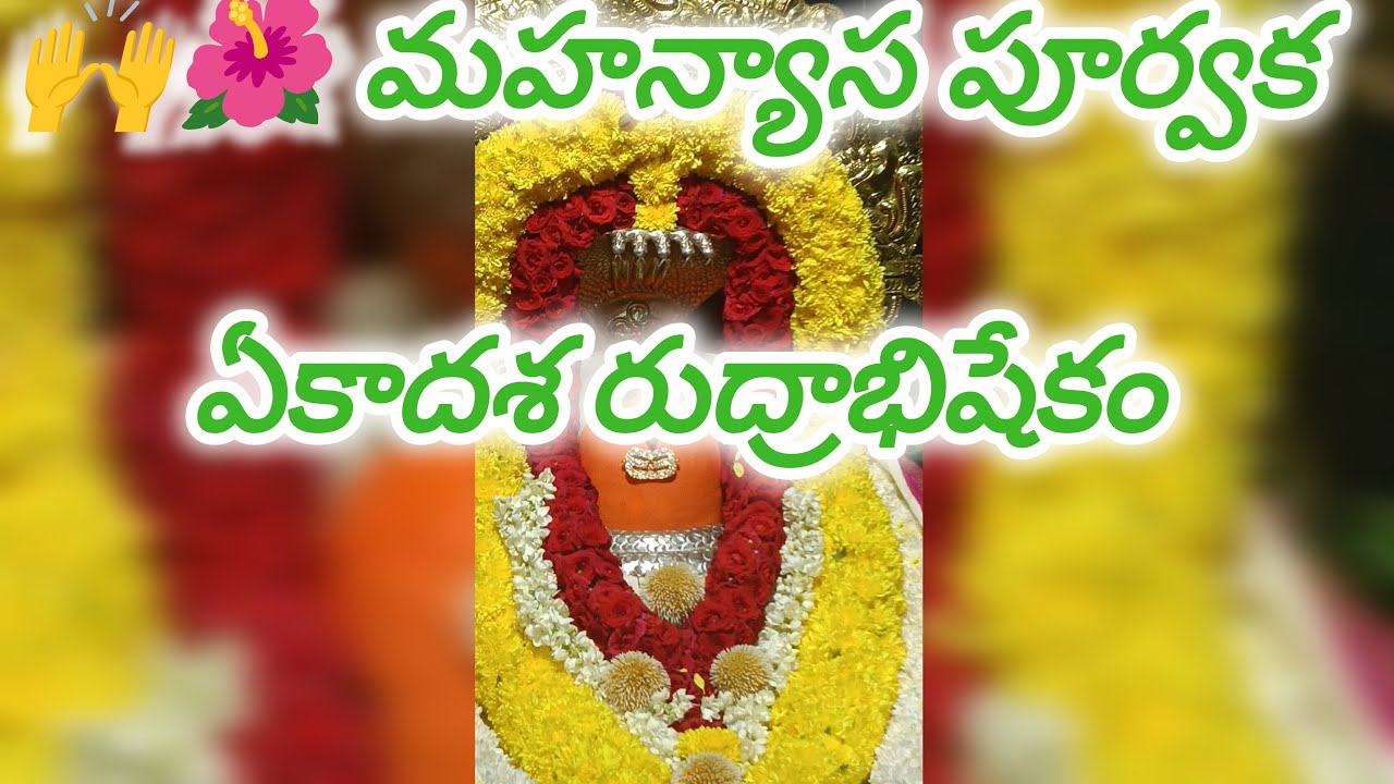 🌺🙌మహన్యాస పూర్వక ఏకాదశ మహా రుద్రాభిషేకం live 🌿🔱🙏🕉️