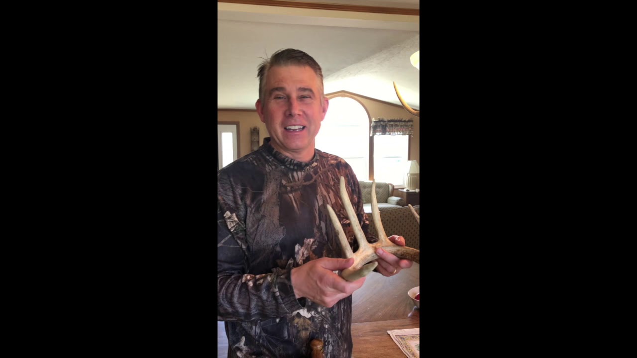 DIY Antler Chandelier   HD 720p