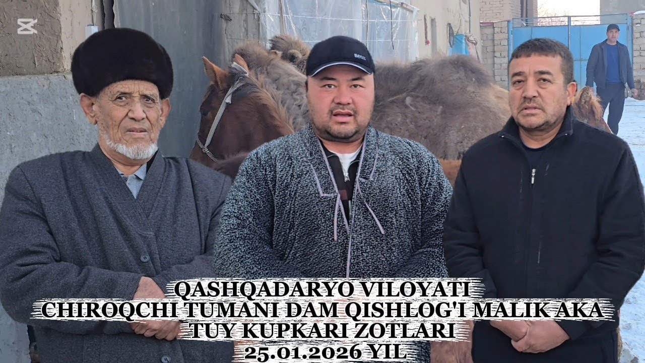 QASHQADARYO VILOYATI CHIROQCHI TUMANI DAM QISHLOG'I MALIK AKA TUY KUPKARI ZOTLARI 25.01.2026 YIL