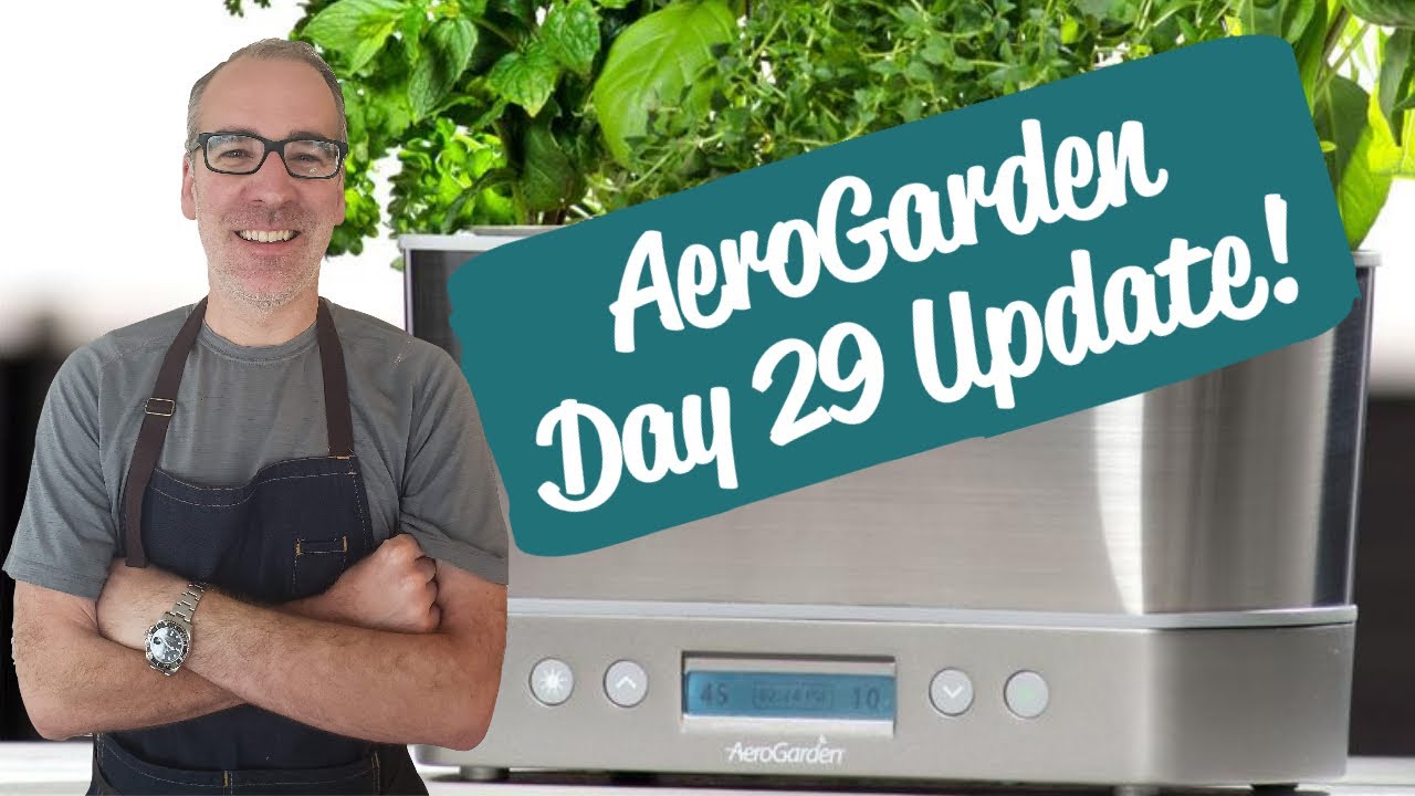 Unbelievable Results in Just 29 Days! AeroGarden Harvest Elite