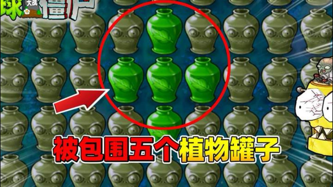 被圍攻的五株植物盆栽