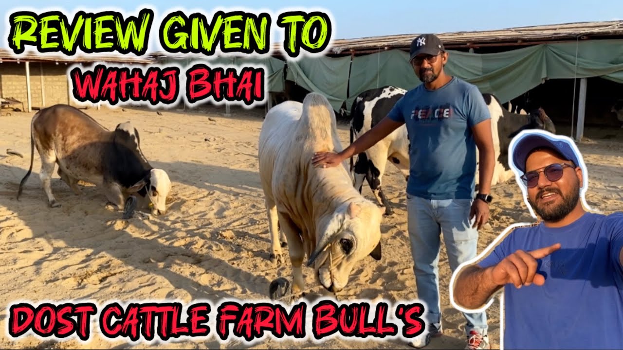 BRANCH 2 MUBARAK HO ❤️ DUSRA GHAR | IAMWAHAJ | DG CATTLE FARM