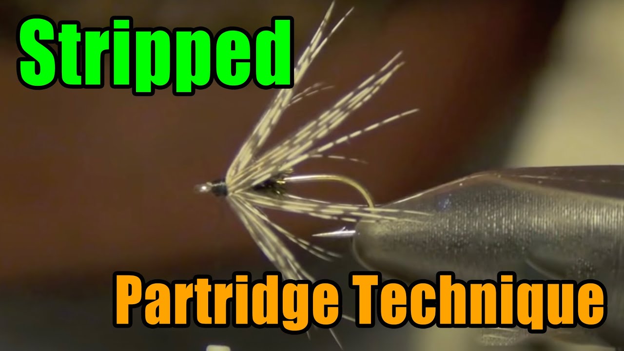 Stripped Partridge Soft Hackle Wrapping Technique - Fly Tying Basics For Beginners