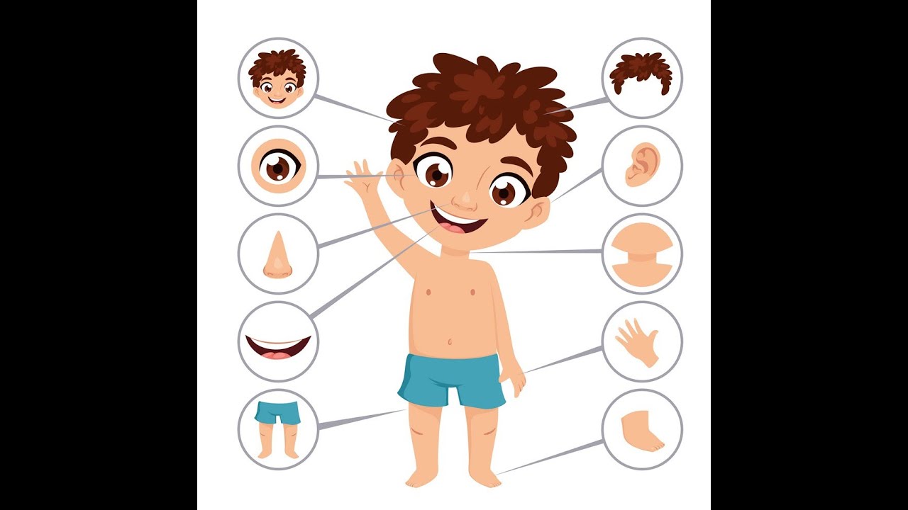 Les Parties du Corps et les 5 Sens | Apprendre le Corps Humain pour les Enfants!
