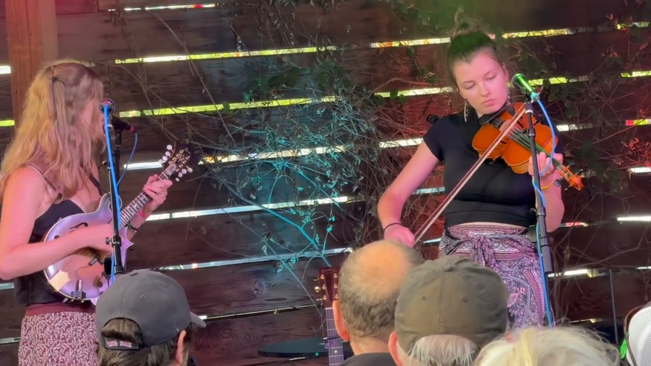 D Tuna - Sweet Sally at Hopmonk Tavern