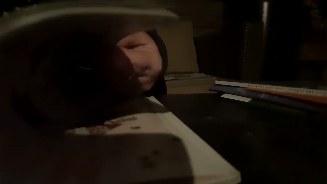 ASMR pageturning