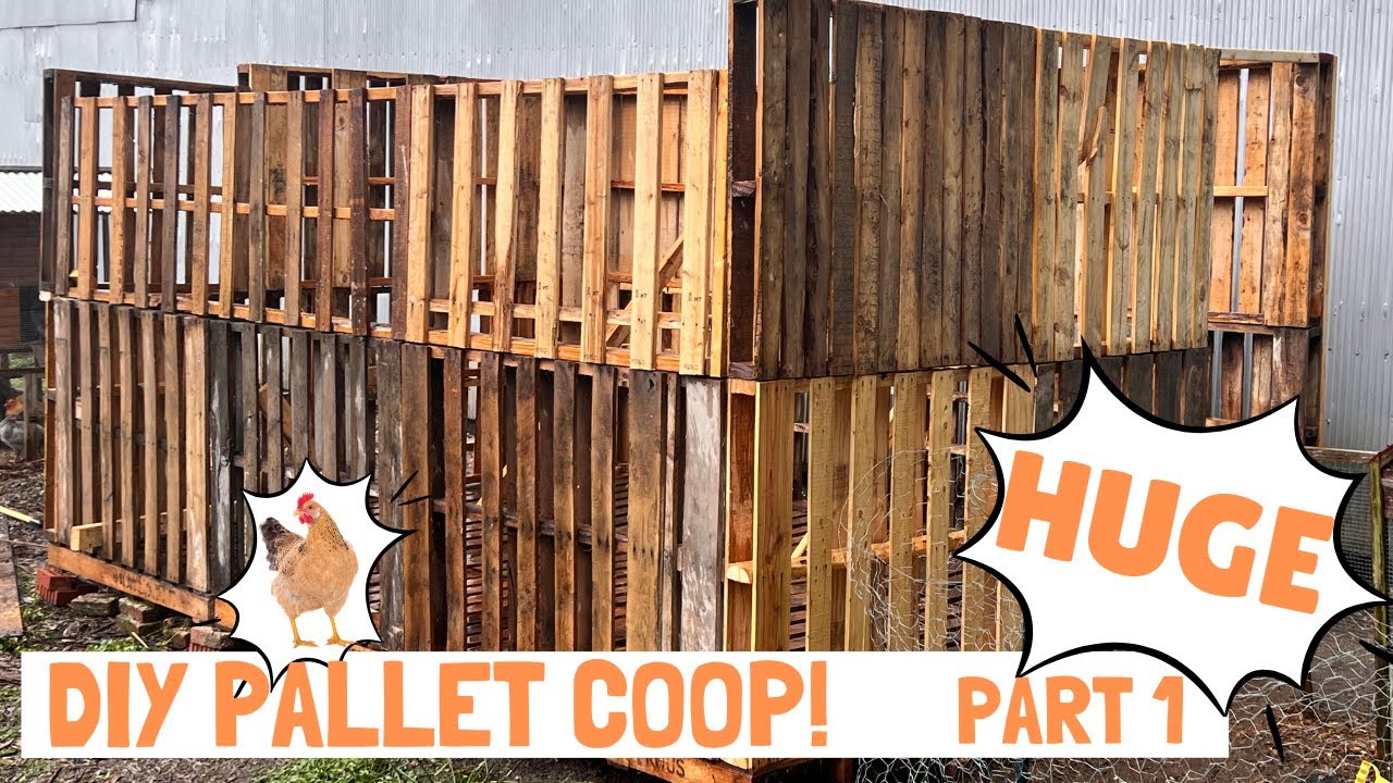 Pallet Chicken Palace Part 1! DIY  Coop build