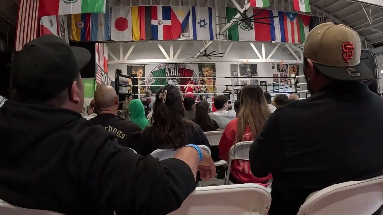 Rock Boxing Gym Fight