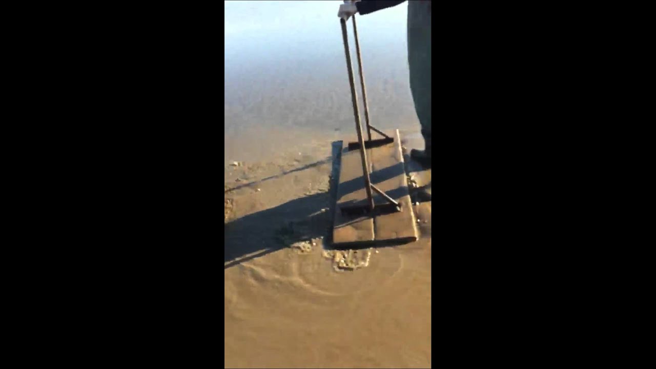 Cockle picking