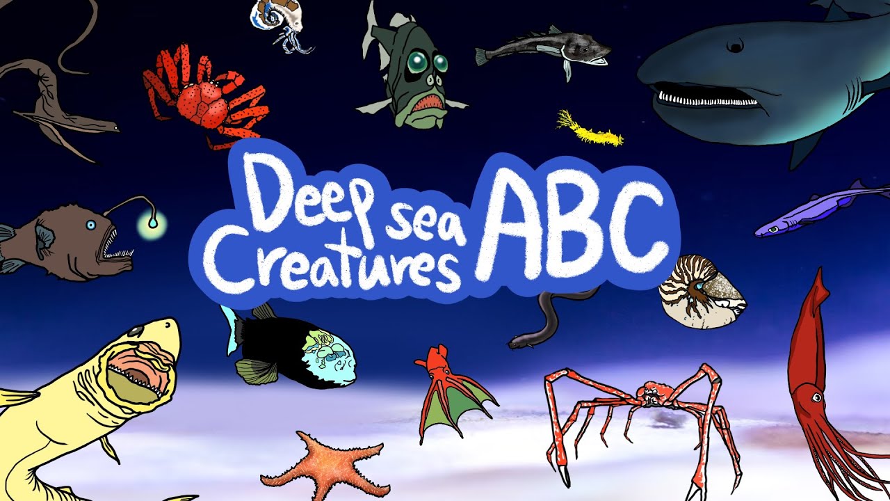 Deep sea Creatures ABC | Sea Animals ABC Song |  Learn alphabet with deep sea creatures | Kids draw