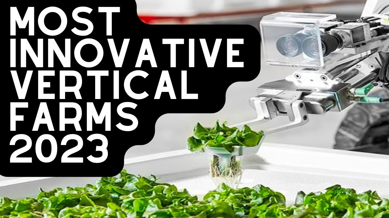 Vertical Farm Technology: Mind Blowing Startups That Will Change The World [2024 Edition]