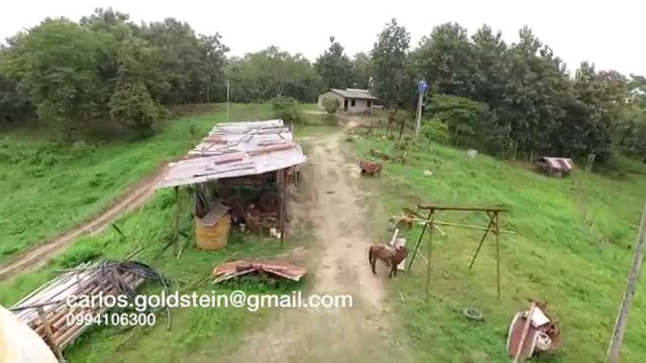 Teak Wood and Rice Farm in BALZAR, GUAYAS, ECUADOR