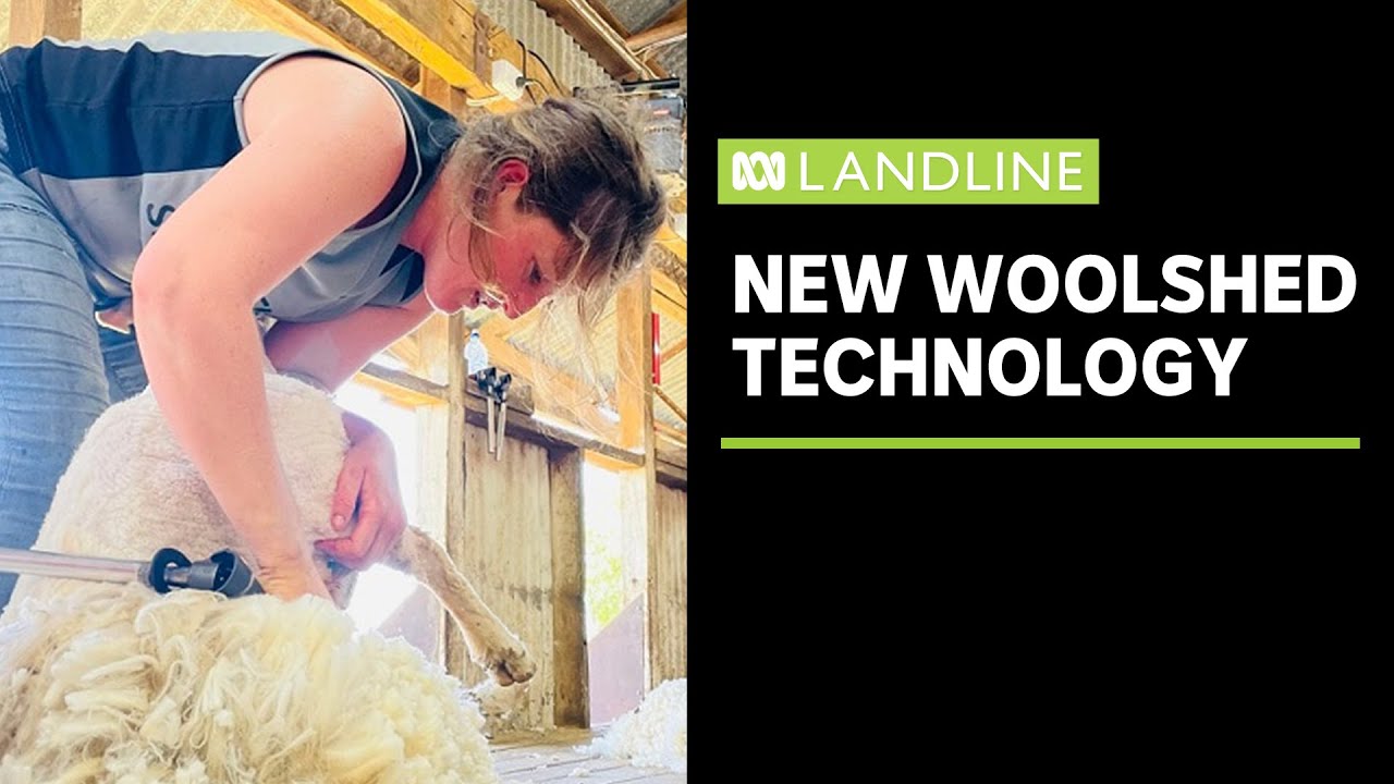 Tracking wool bales from the shearing shed to the entire supply chain | Landline | ABC News