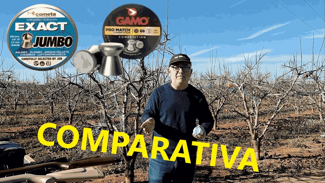 COMPARATIVA DE BALINES COMETA EXACT JUMBO Y GAMO PRO- MACH#joselucarabinaspcp
