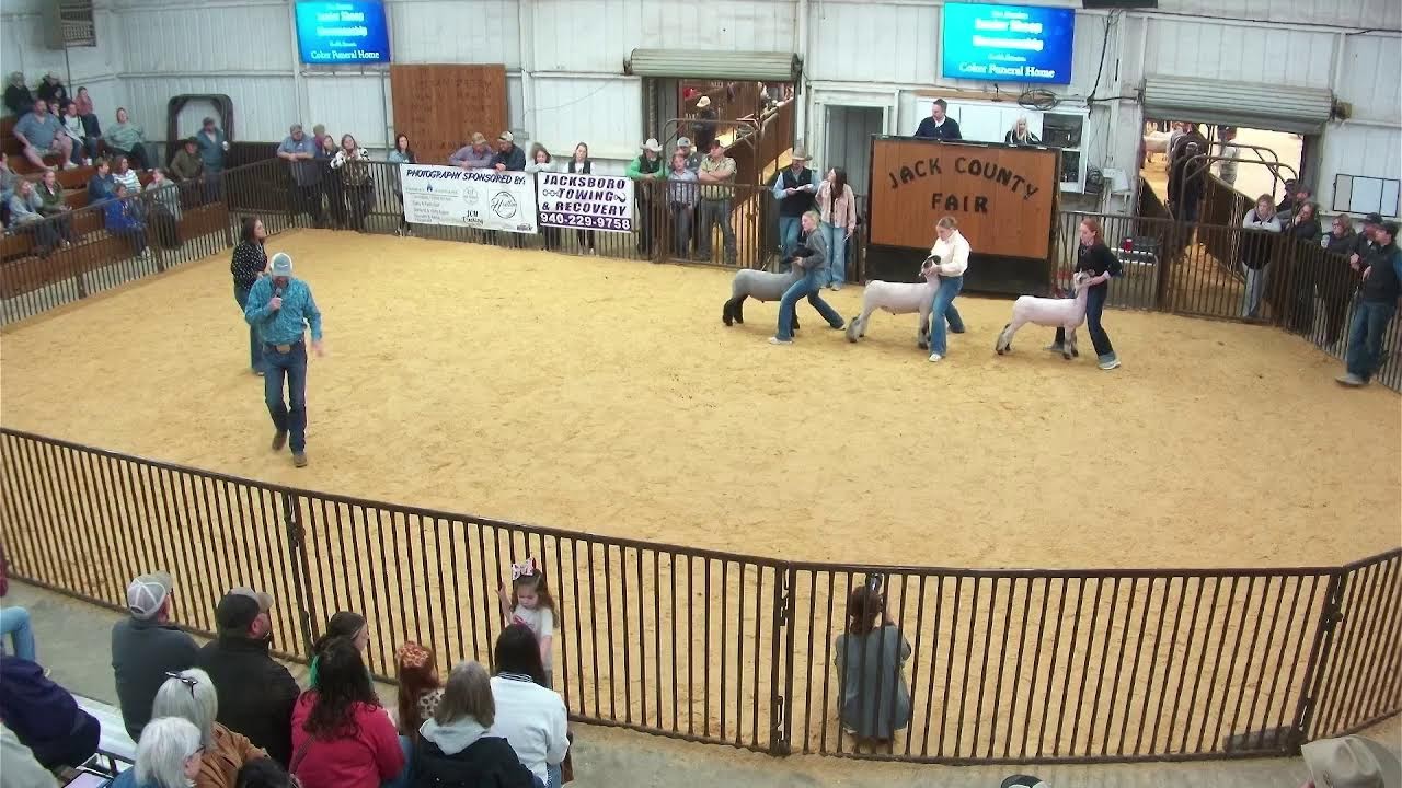 Lamb Show 2026