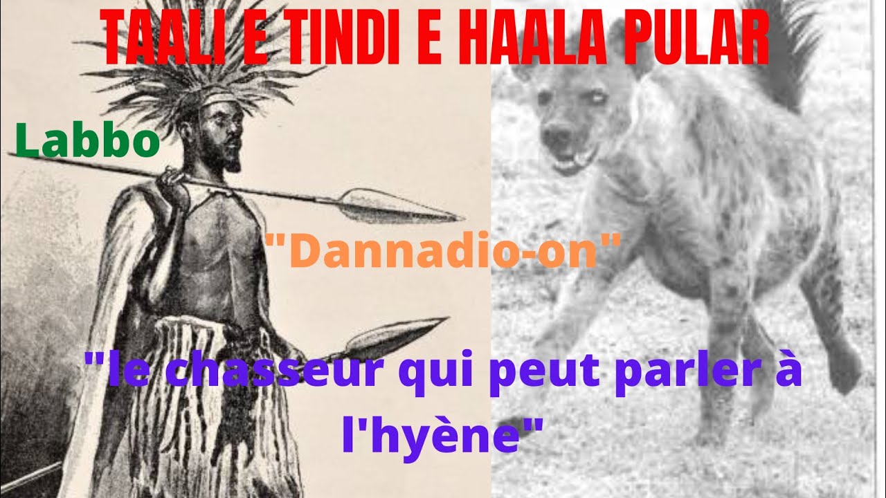 Taali Eh Tindi Eh Haala Poular