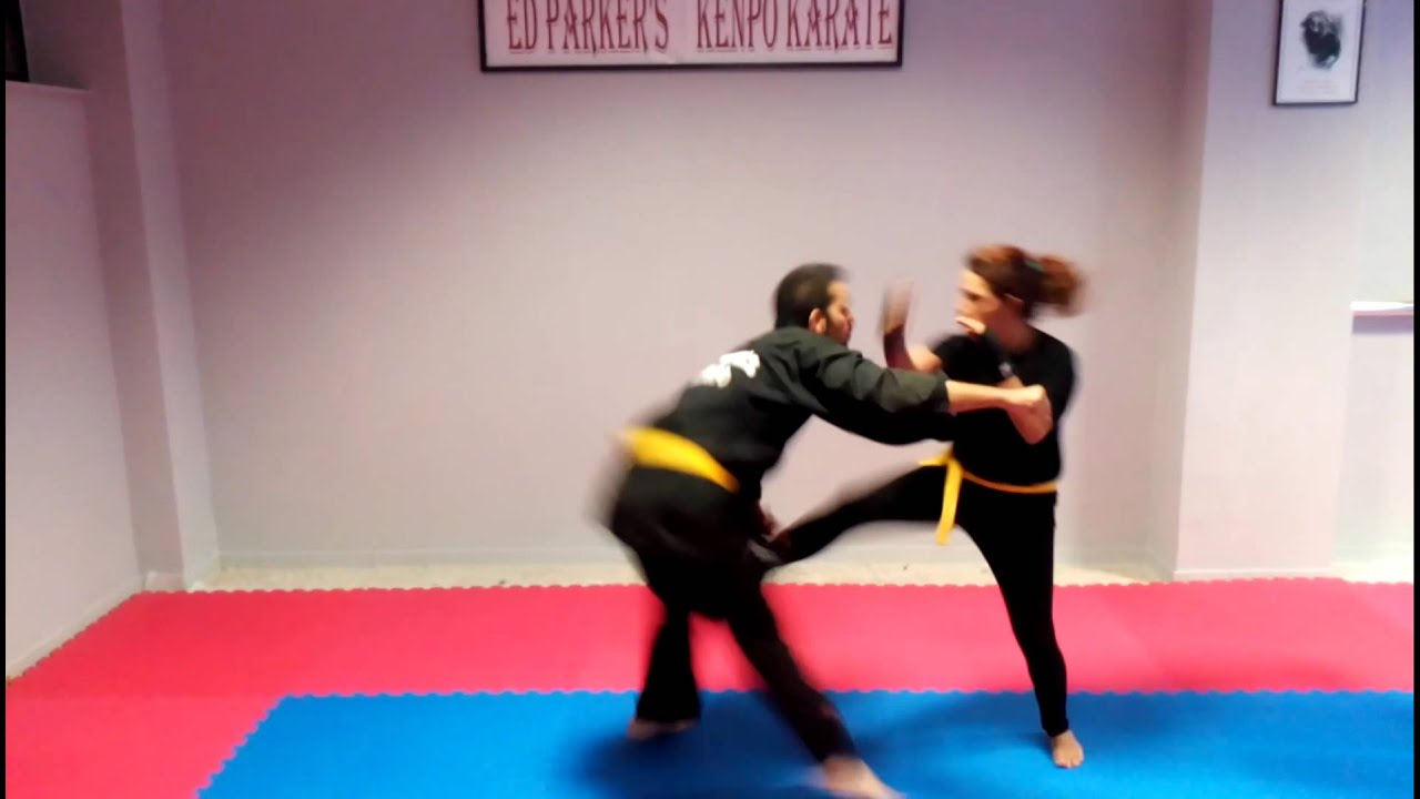 Kenpo karate women defence by SDC