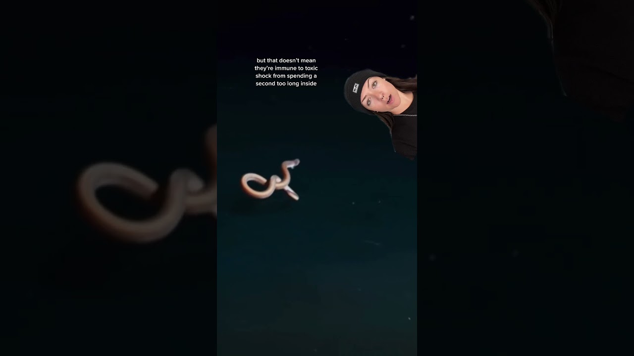 deep sea lakes