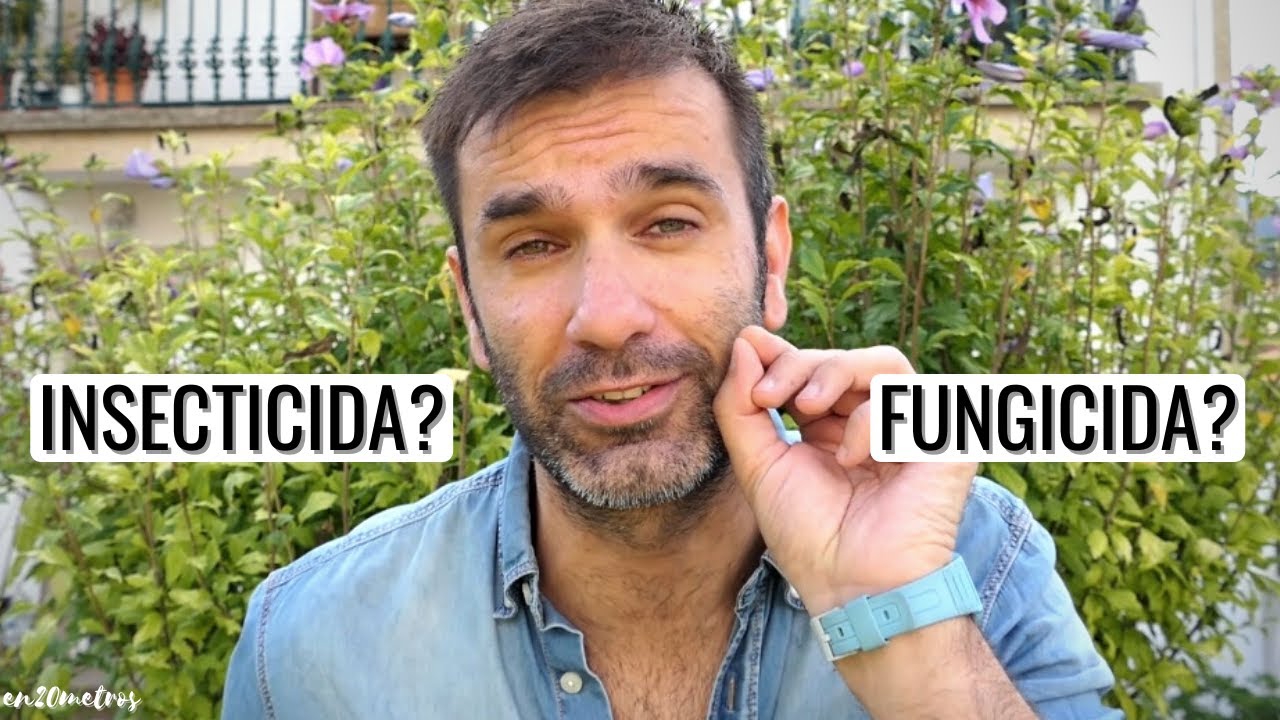DIFERENCIAS entre INSECTICIDA y FUNGICIDA: Cu&aacute;les RECOMIENDO? || en20metros