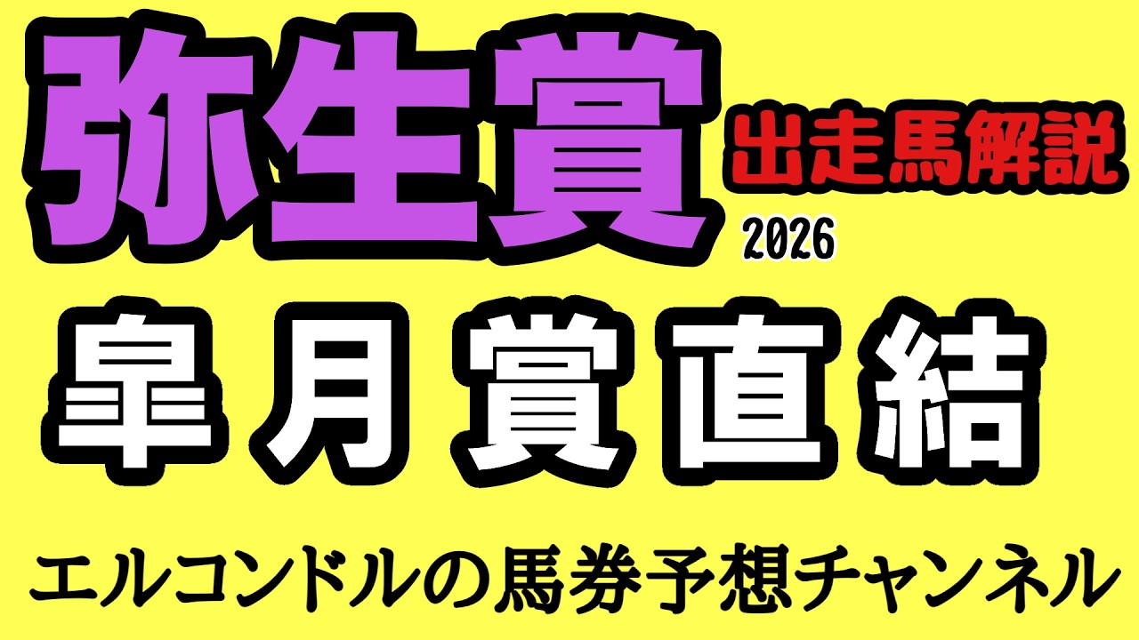 エルコンドルの弥生賞2026出走馬徹底解説！パントルナイーフ中心？アドマイヤクワッズ巻き返しとライヒスアドラーの瞬発力｜皐月賞トライアル展望
