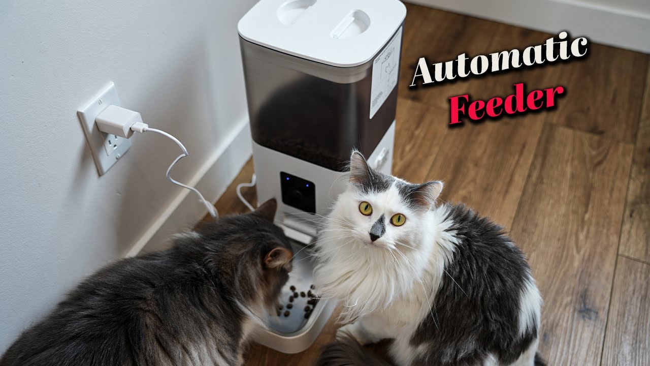 Automatic pet feeder with a built in camera - Joy Pebble