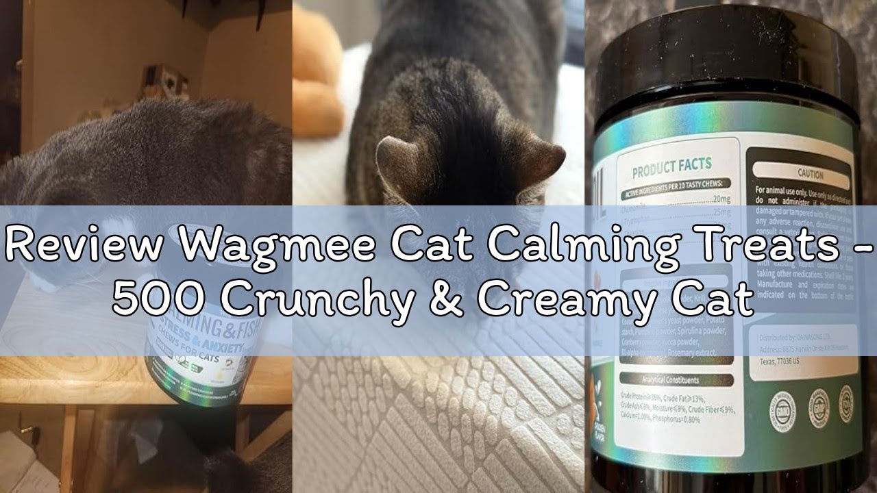 Review Wagmee Cat Calming Treats - 500 Crunchy & Creamy Cat Chews with Melatonin, Chamomile for Cat