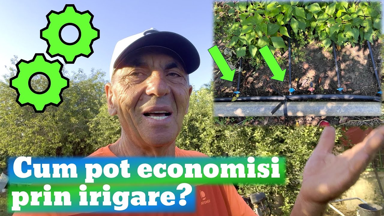 Instalarea sistemului de irigare prin picurare