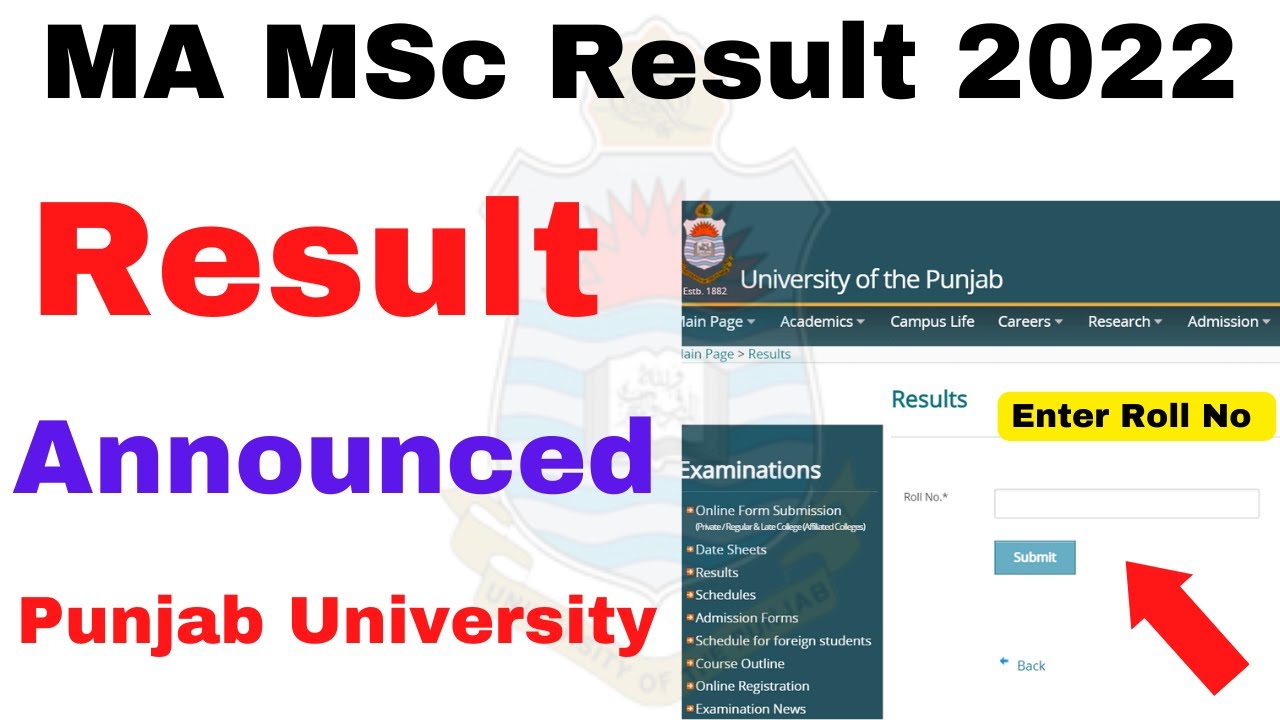 MA MSc Part 1 & 2 Annual 2022 Results PU Update 100%