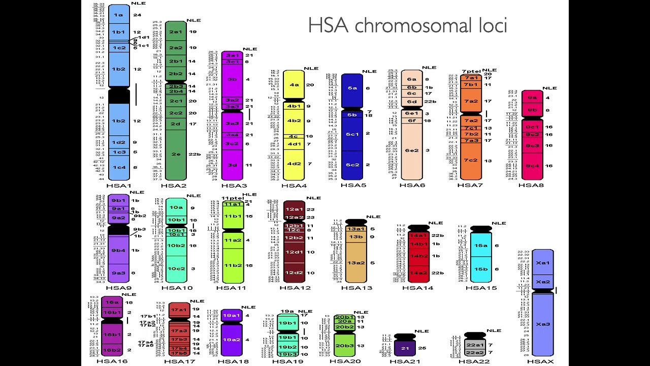 DNA in the Courtroom: Science, Identity, and Legal Truth