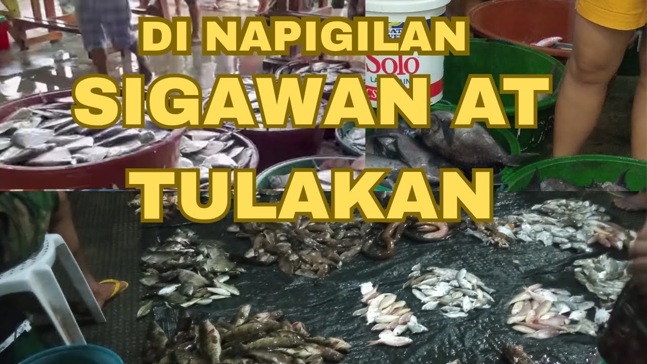 DINAYO AT DINUMOG NG TAO | TANZA CAVITE FISHPORT 