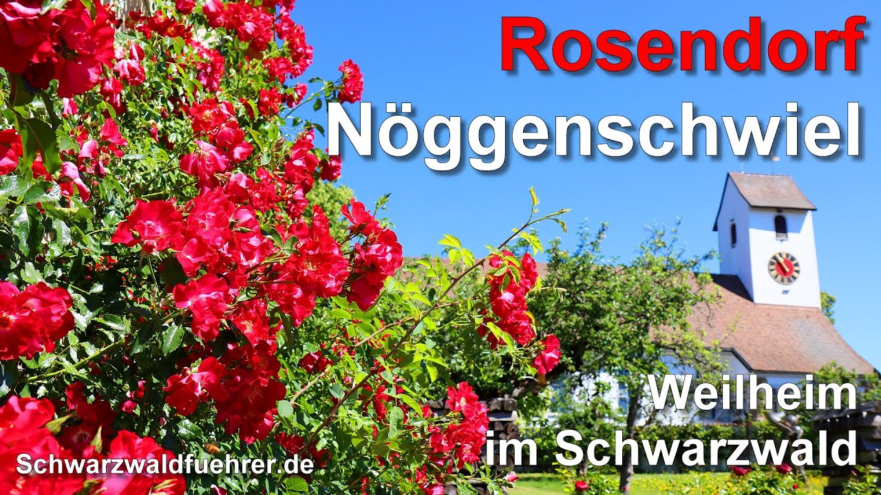 Rosendorf N&ouml;ggenschwiel im Schwarzwald
