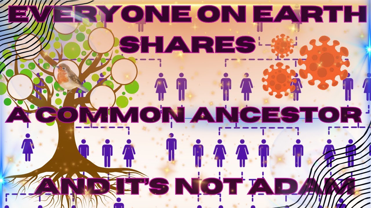 Everyone on Earth Shares a Common Ancestor&mdash;And It's Not Adam