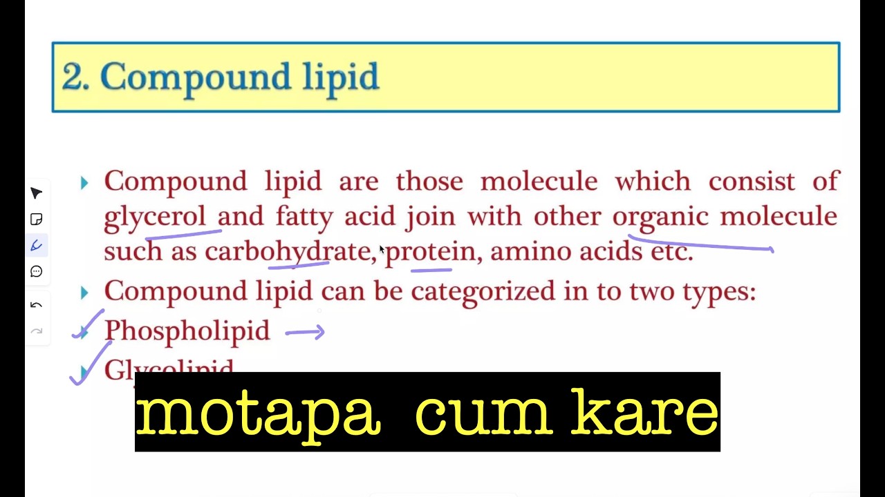 Structure and Function of Lipids | CUET-PG| Life Sciences