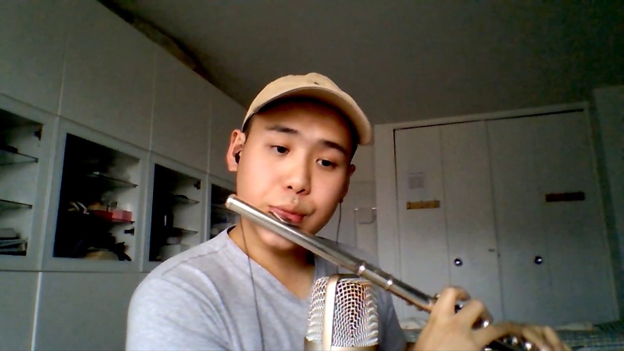 Lady Gaga, Bradley Cooper - I'll Never Love Again (Flute Cover)
