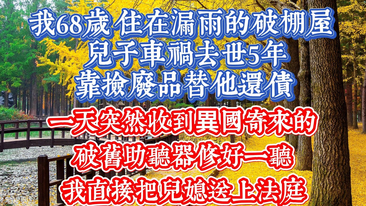 我68歲 住在漏雨的破棚屋  兒子車禍去世5年，靠撿廢品替他還債。一天突然收到異國寄來的破舊助聽器，修好一聽，我直接把兒媳送上法庭.#情感 #晚年生活 #晚年覺醒