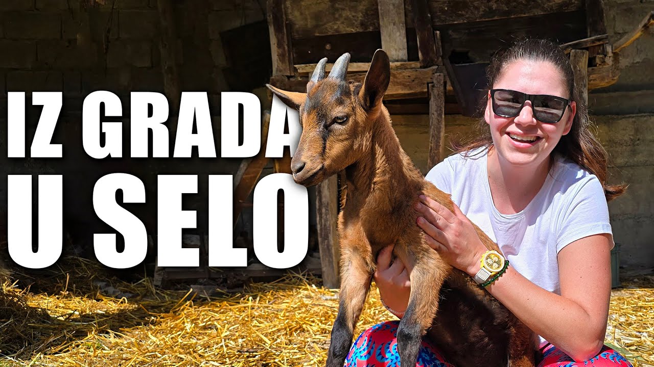 Vratili se iz BEOGRADA na SELO! Obnovili DEDOVINU! Čuvaju KOZE i prave DOMAĆI SIR! Selo Cerje