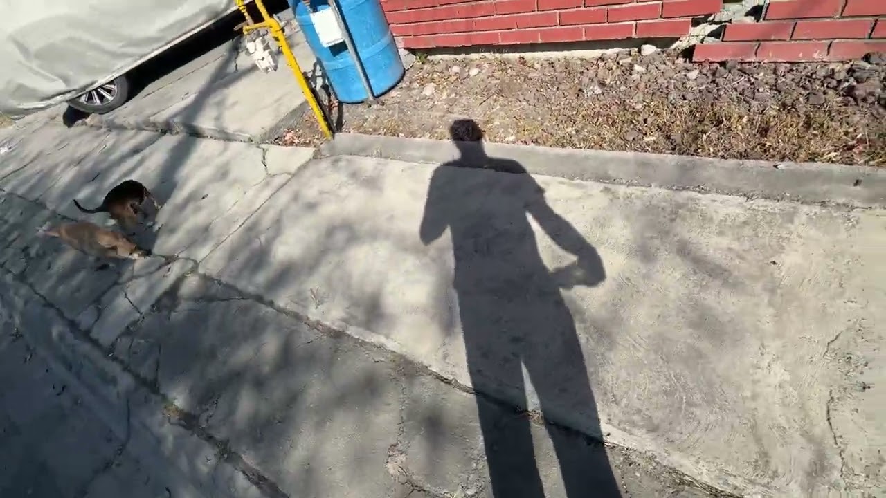 Dijo el doctor que todos llegan con esos síntomas 