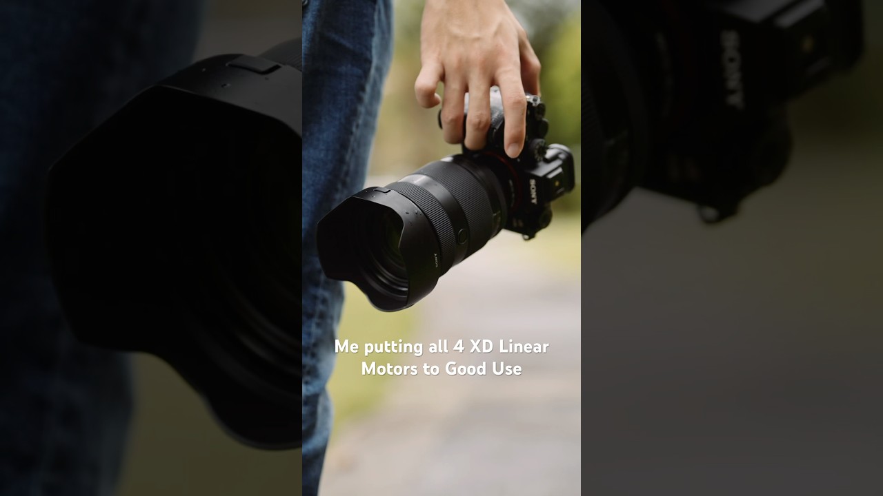 FE 28-70mm F2 GM Autofocus vs My Cat