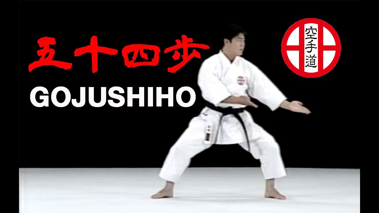 糸東会公認　五十四歩　Gojushiho with Bunkai
