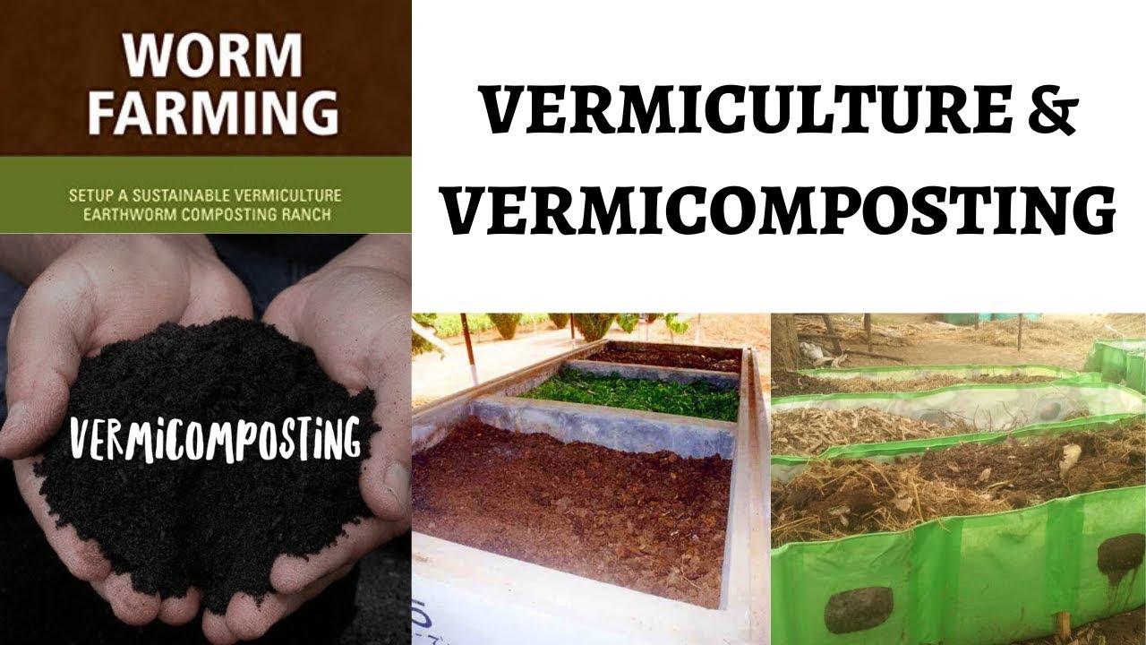 What is VERMICULTURE & VERMICOMPOSTING ? How Worms Convert our Waste into Manure