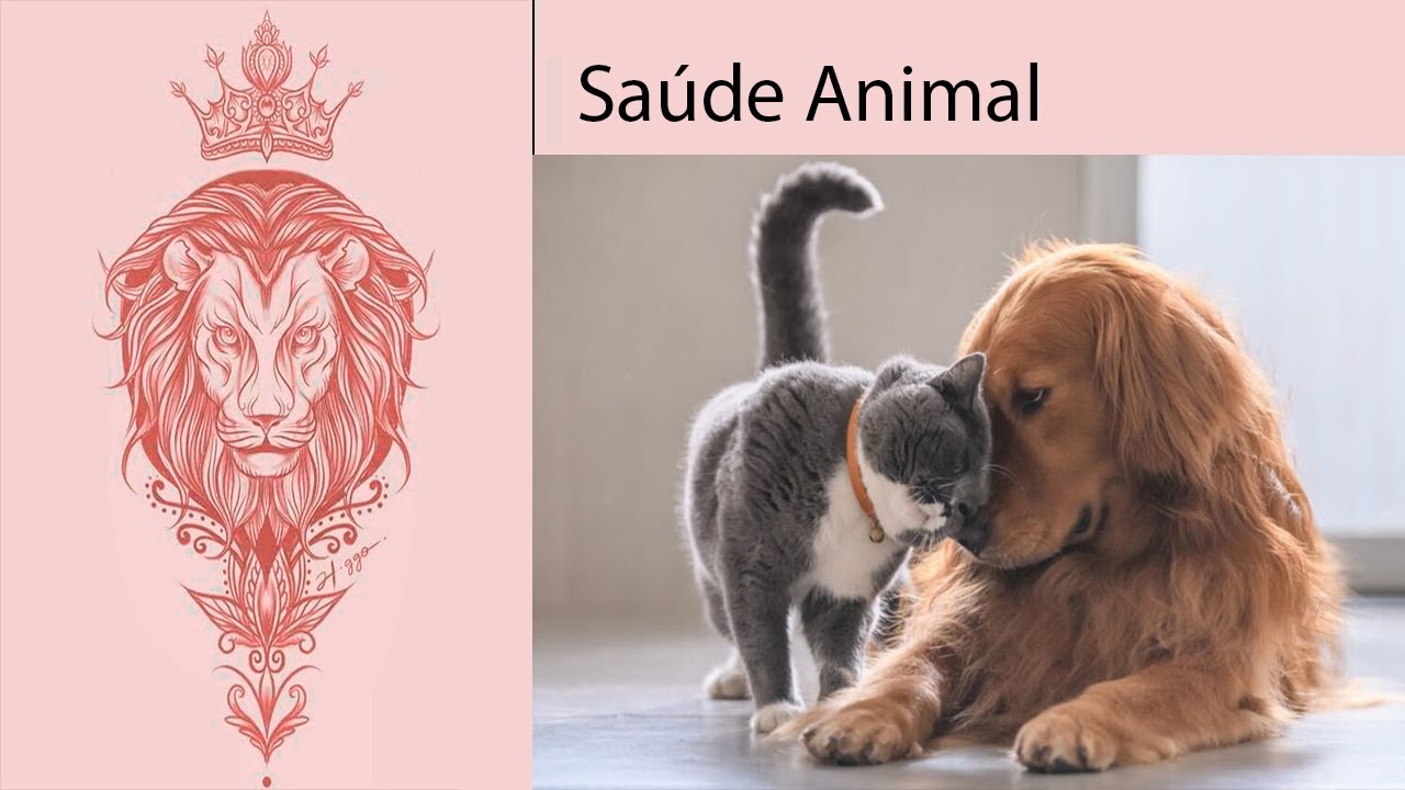 Sa&uacute;de Animal Perfeita!!! - &Aacute;udio Subliminal(Resultados R&aacute;pidos)